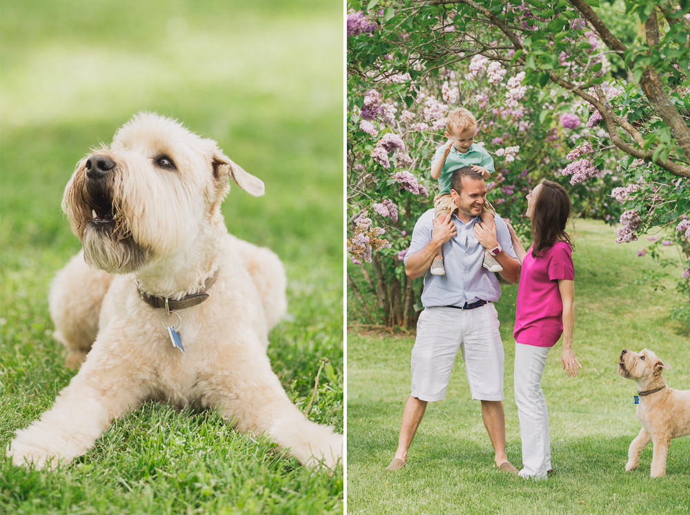 family and pet portraits barrie